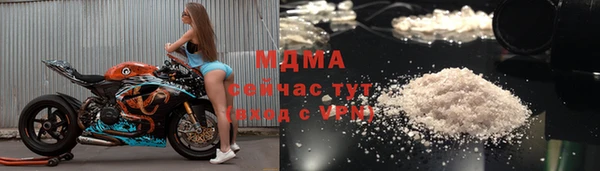 прущие грибы Баксан