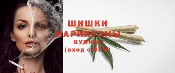 прущие грибы Баксан