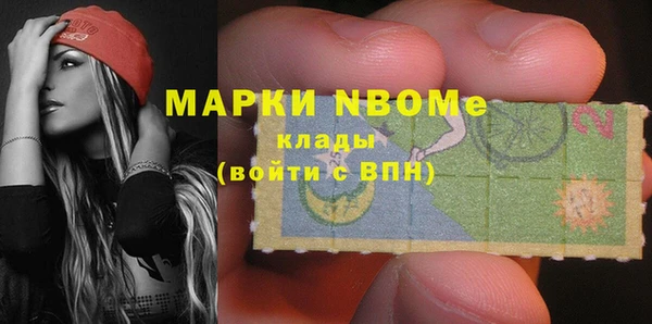 прущие грибы Баксан