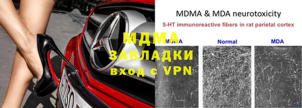 прущие грибы Баксан