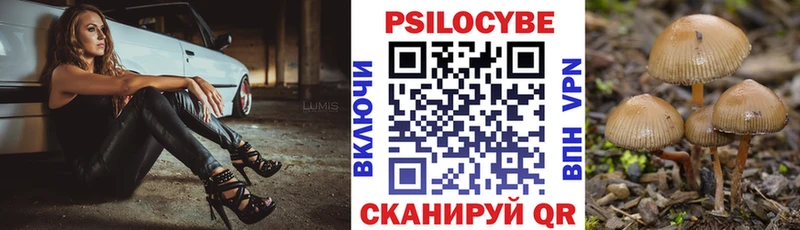 Псилоцибиновые грибы прущие грибы  Купить где  Вуктыл 